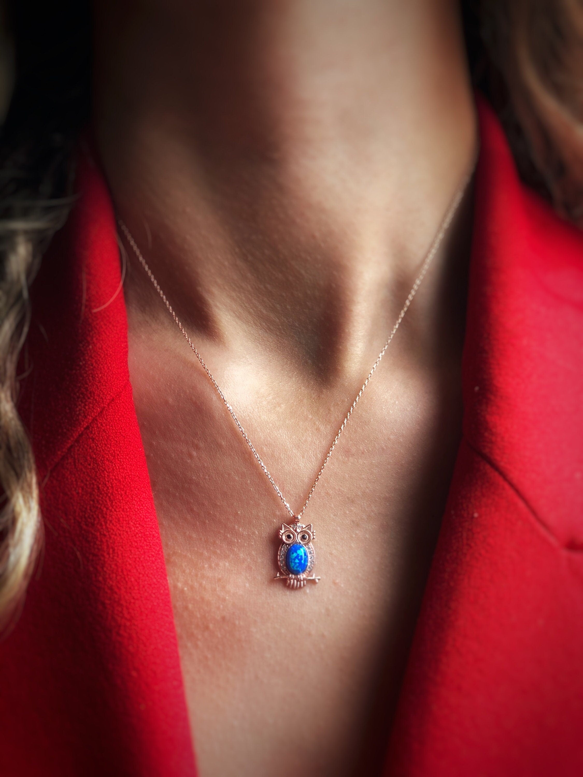 Owl Pendant Sterling Silver Necklace, Guardian Owl,animal Necklace,blue Cubic Zircon Pendant, Meaningful , Wisdom Symbol Jewelry