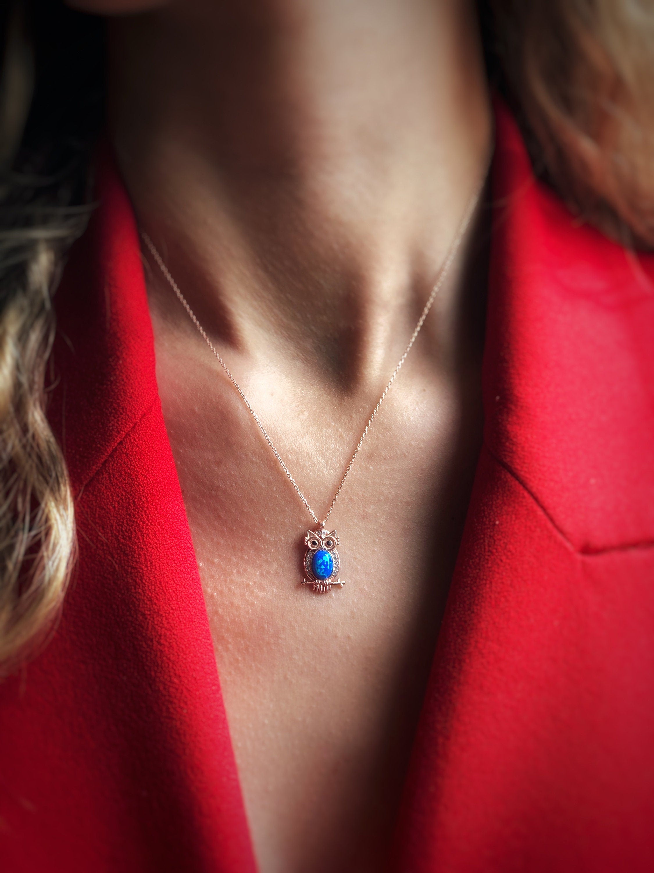 Owl Pendant Sterling Silver Necklace, Guardian Owl,animal Necklace,blue Cubic Zircon Pendant, Meaningful , Wisdom Symbol Jewelry