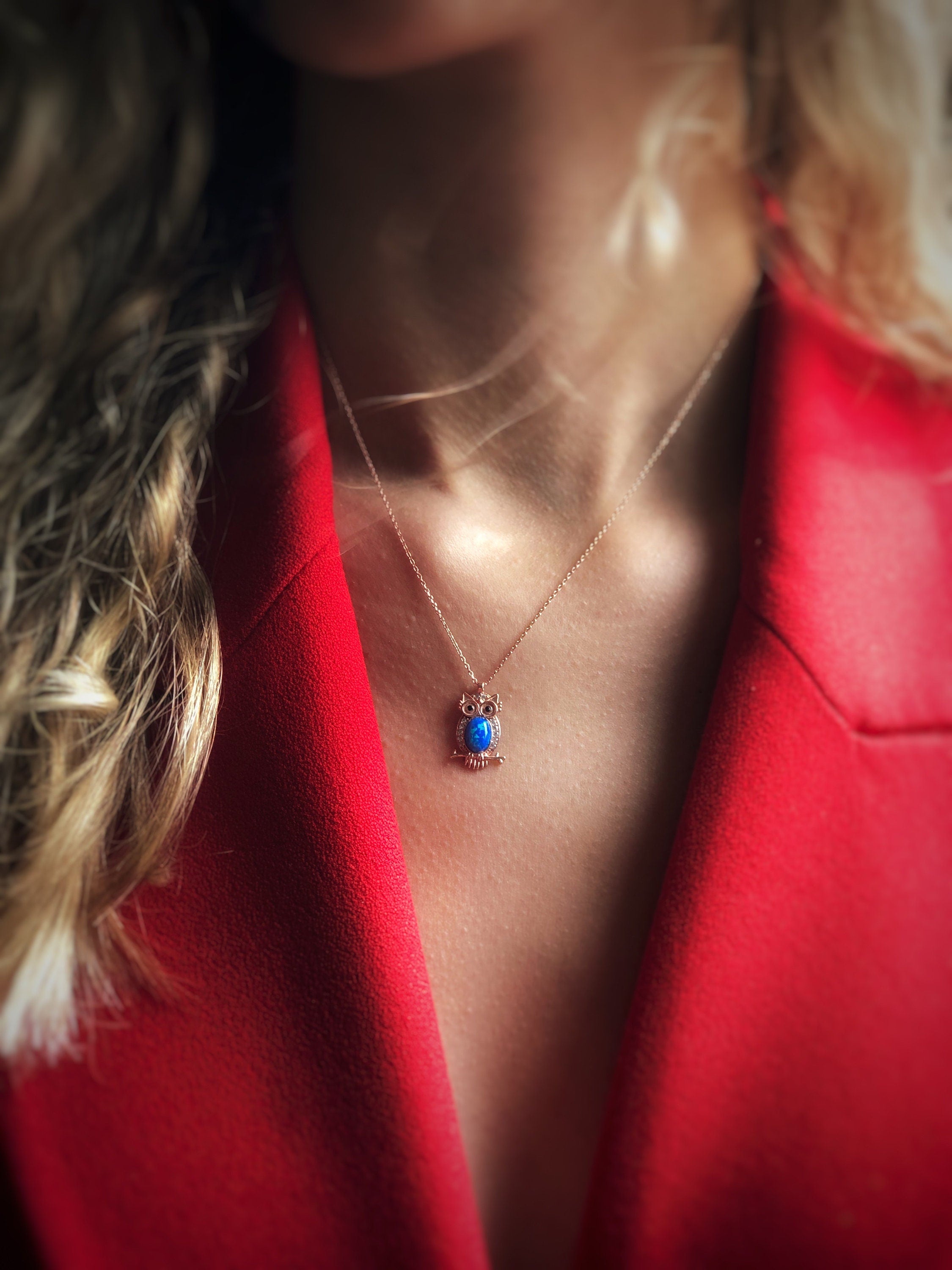 Owl Pendant Sterling Silver Necklace, Guardian Owl,animal Necklace,blue Cubic Zircon Pendant, Meaningful , Wisdom Symbol Jewelry