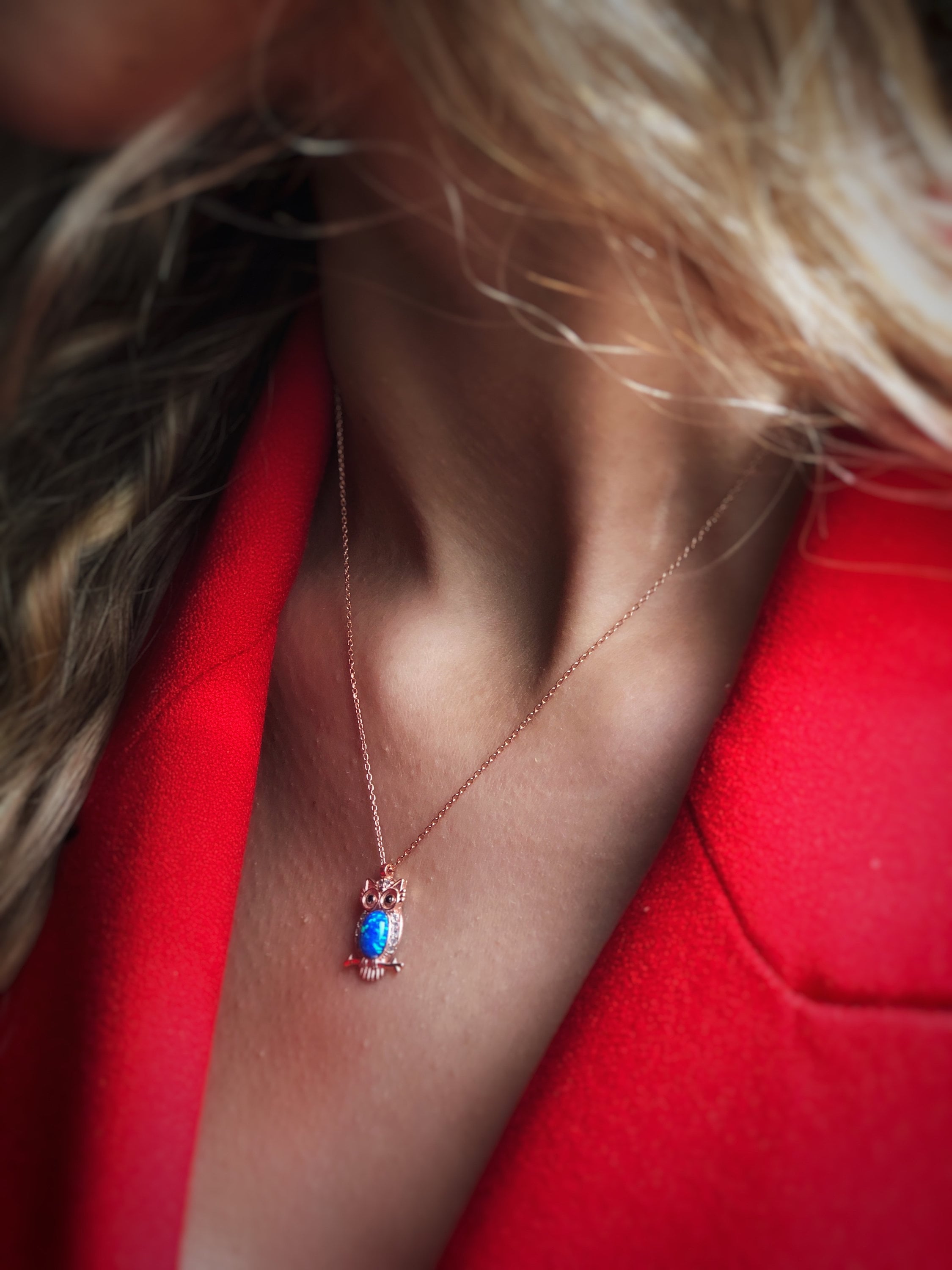 Owl Pendant Sterling Silver Necklace, Guardian Owl,animal Necklace,blue Cubic Zircon Pendant, Meaningful , Wisdom Symbol Jewelry