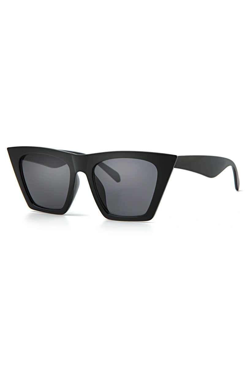 Unisex Black Sunglasses